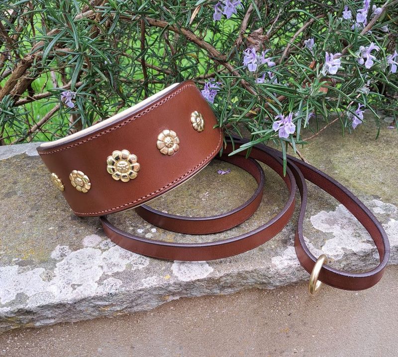 Decorated and padded Sighthound collar with matching lead