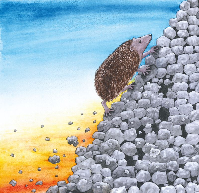 Up, Up, Up, climbed Hedgehog... from the children's book 'Hedgehog and the Fence'