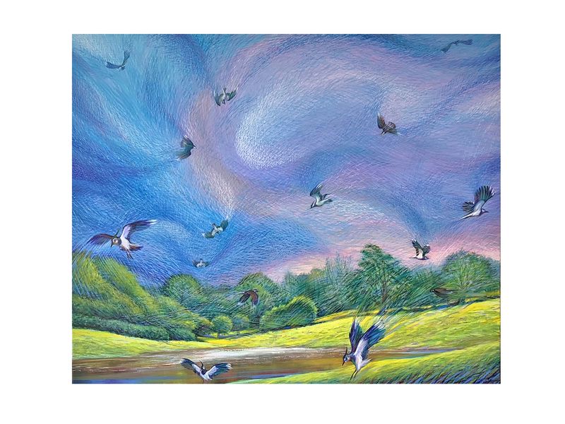 Lapwings merrygoround