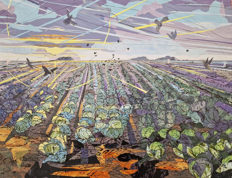 Cabbages and wood pigeons