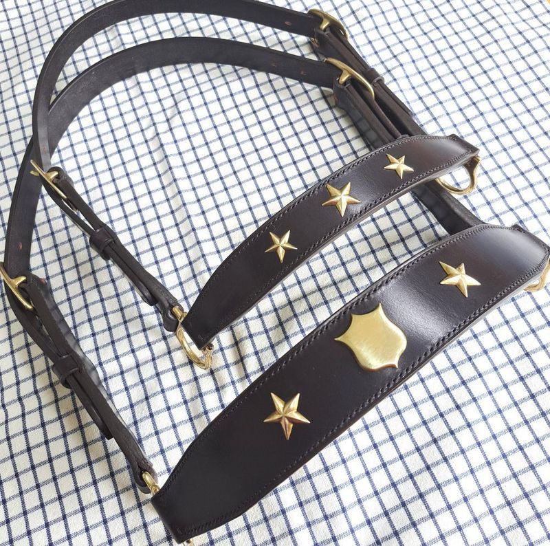 Traditional leather cattle show halters