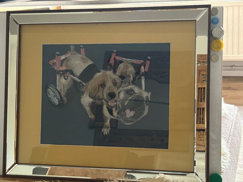 We are the champions