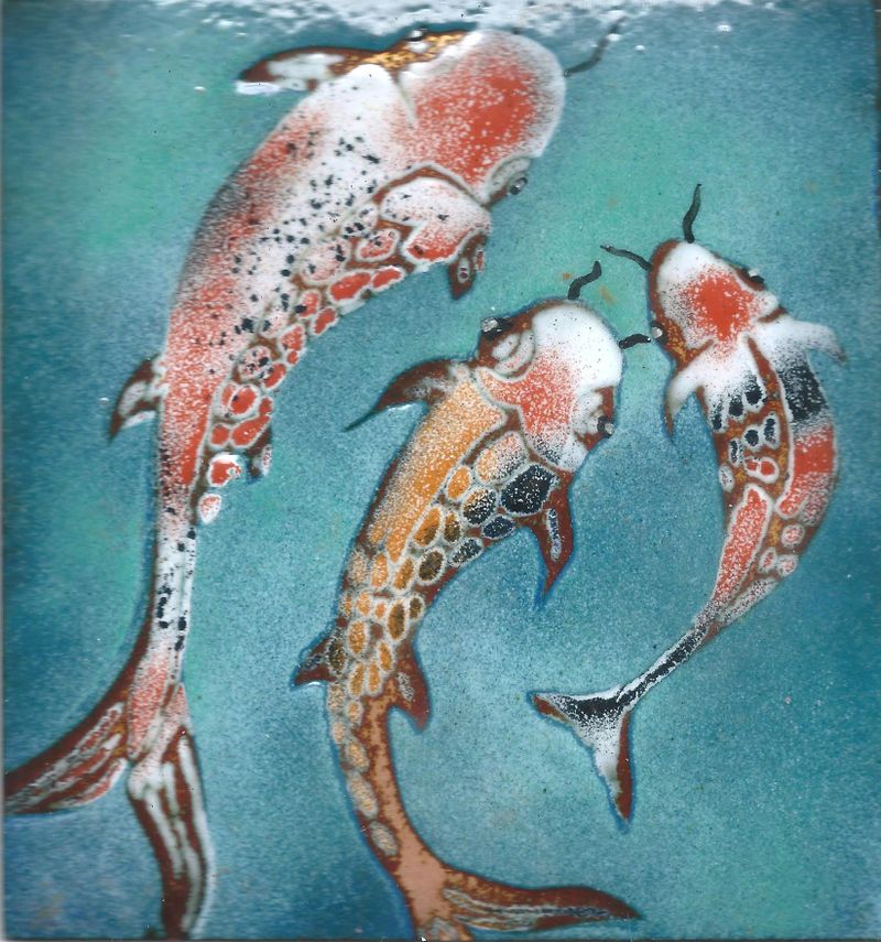 Koi Carp